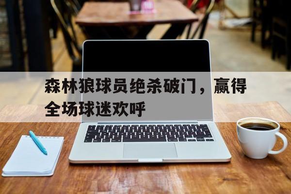 森林狼球员绝杀破门，赢得全场球迷欢呼的简单介绍